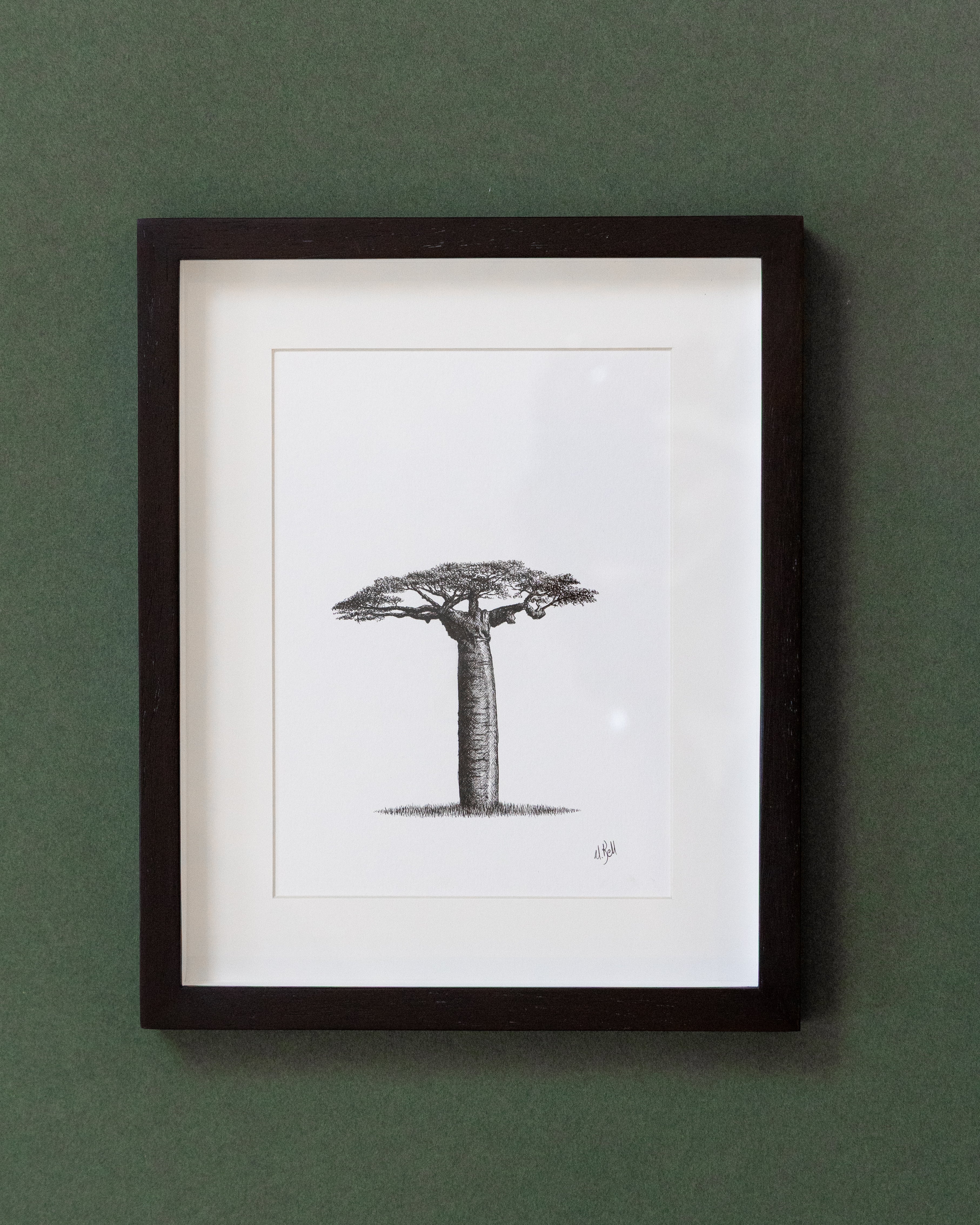 African Baobab Trees - Original Pen Drawings