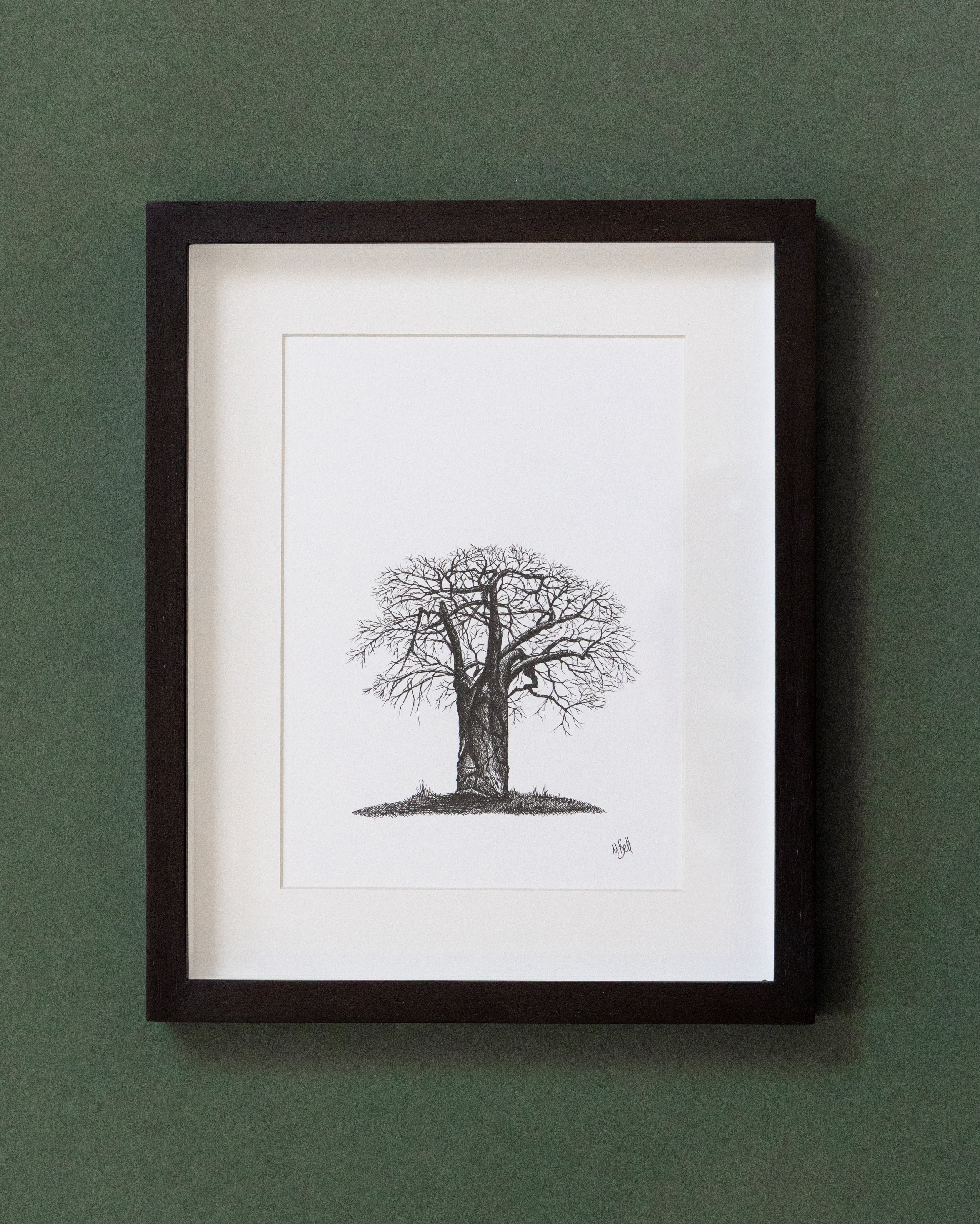 African Baobab Trees - Original Pen Drawings