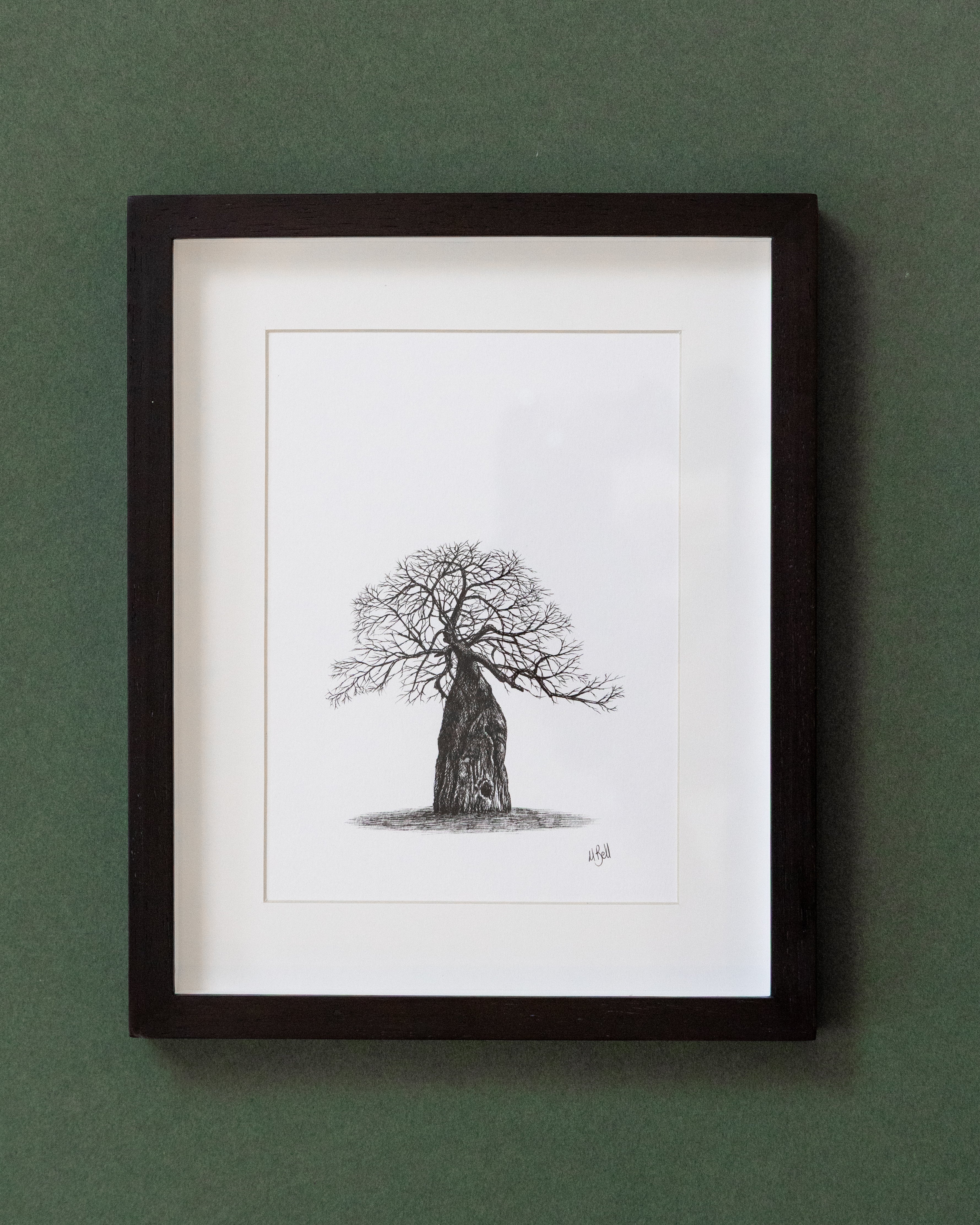 African Baobab Trees - Original Pen Drawings