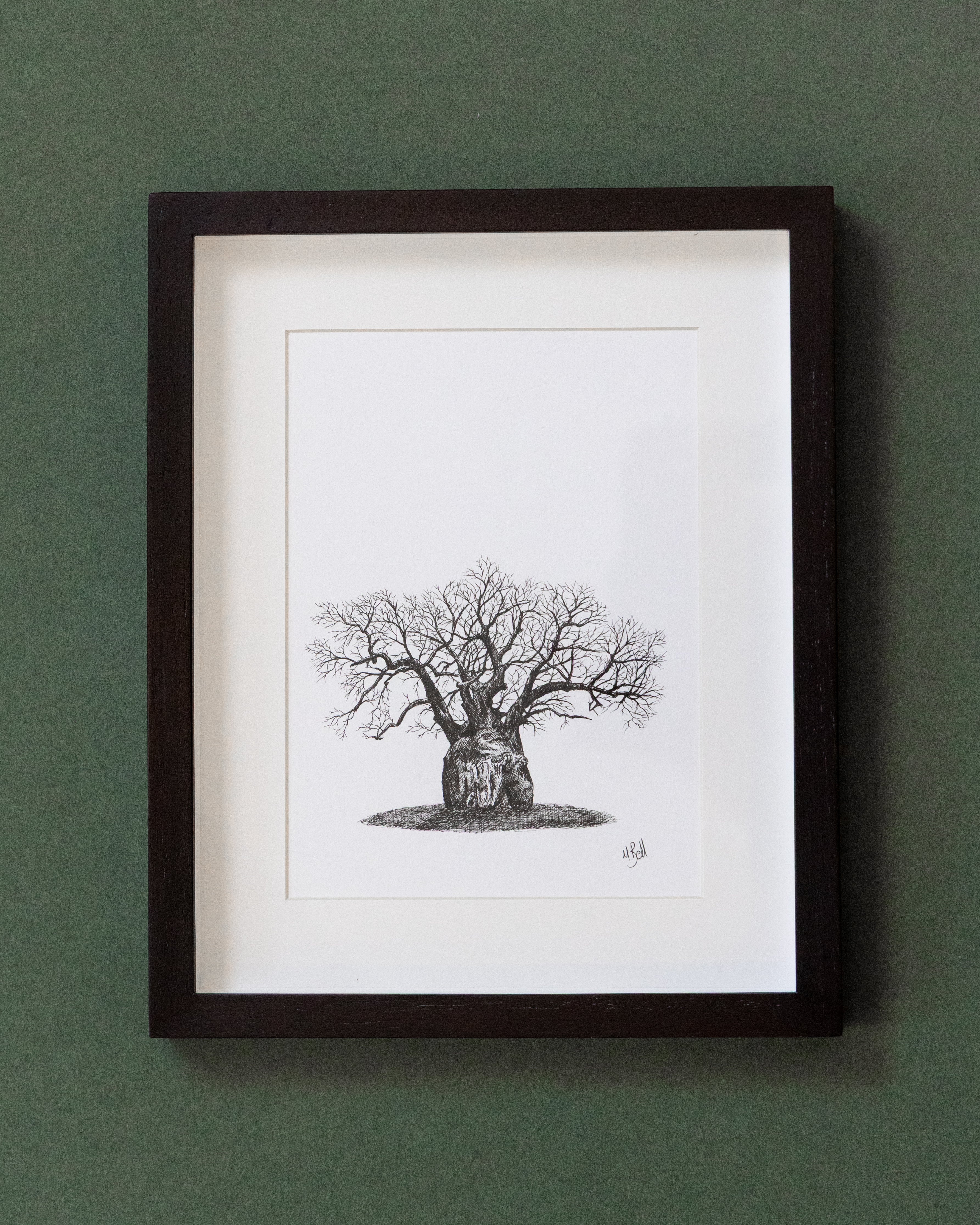 African Baobab Trees - Original Pen Drawings