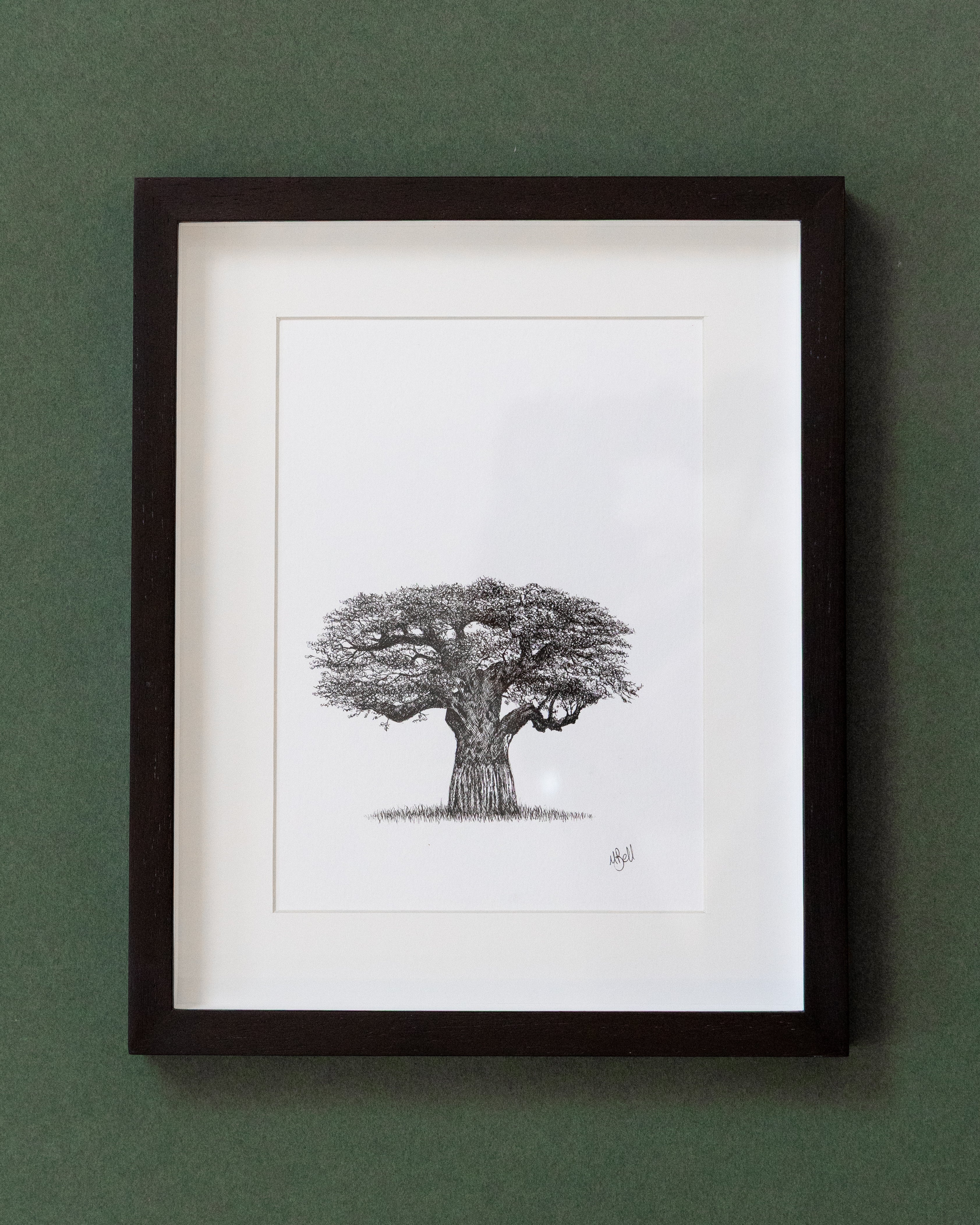 African Baobab Trees - Original Pen Drawings