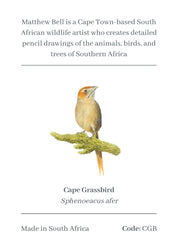 Cape Grassbird Magnet - CGB
