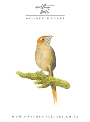 Cape Grassbird Magnet - CGB
