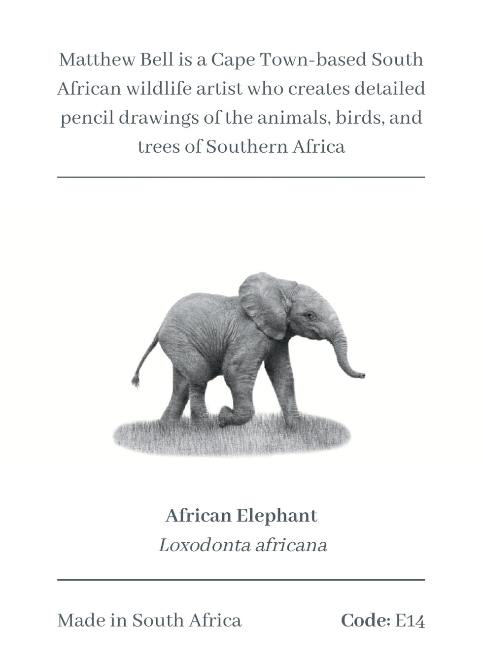 Elephant Baby Magnet - E14