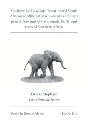 Elephant Baby Magnet - E14