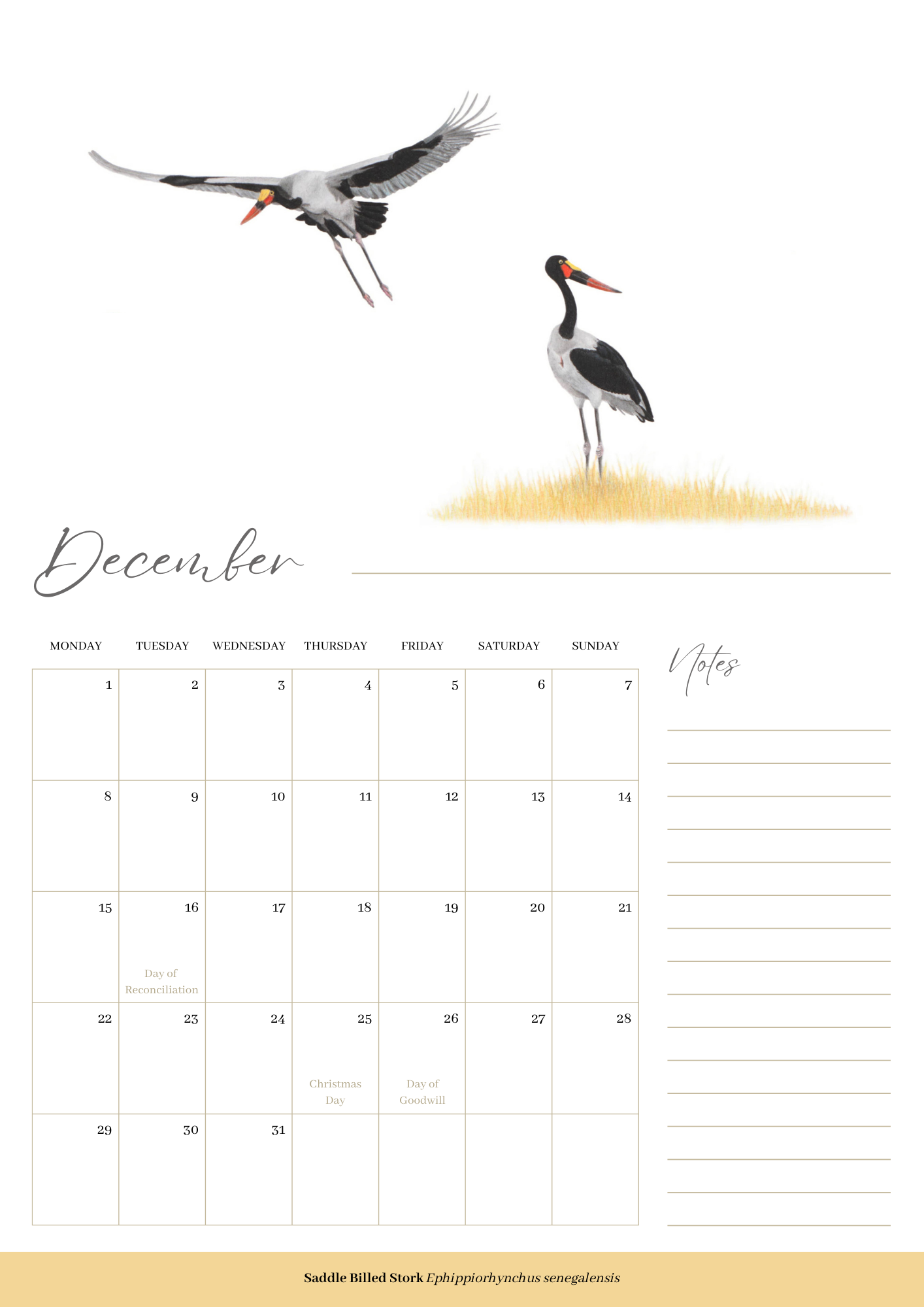 2025 premium quality South African birds hanging wall calendar showing wildlife artwork by artist Matthew Bell including Red Billed Hornbill, Lesser Striped Swallow, Saddle Billed Stork, Crowned Lapwing, Violet Backed Starling, Grey Headed Bush Shrike, African Pitta, Marico Sunbird, Blue Cheeked Bee Eater, African Pygmy Kingfisher, Cape Weaver, Wood Owl