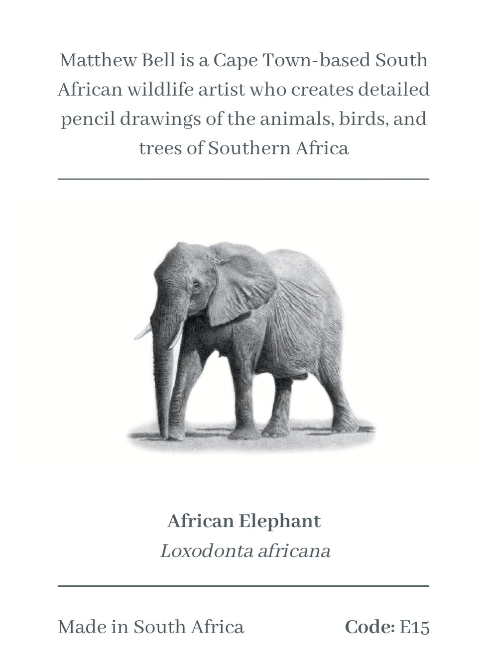 Elephant Magnet - E15