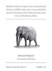 Elephant Magnet - E15