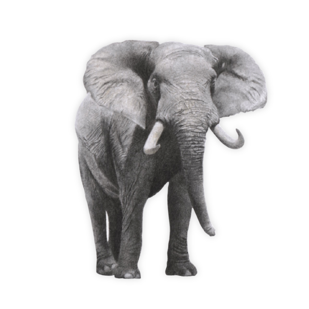 14_b0807cbd-563a-4ac9-904e-9a14d854b009.png