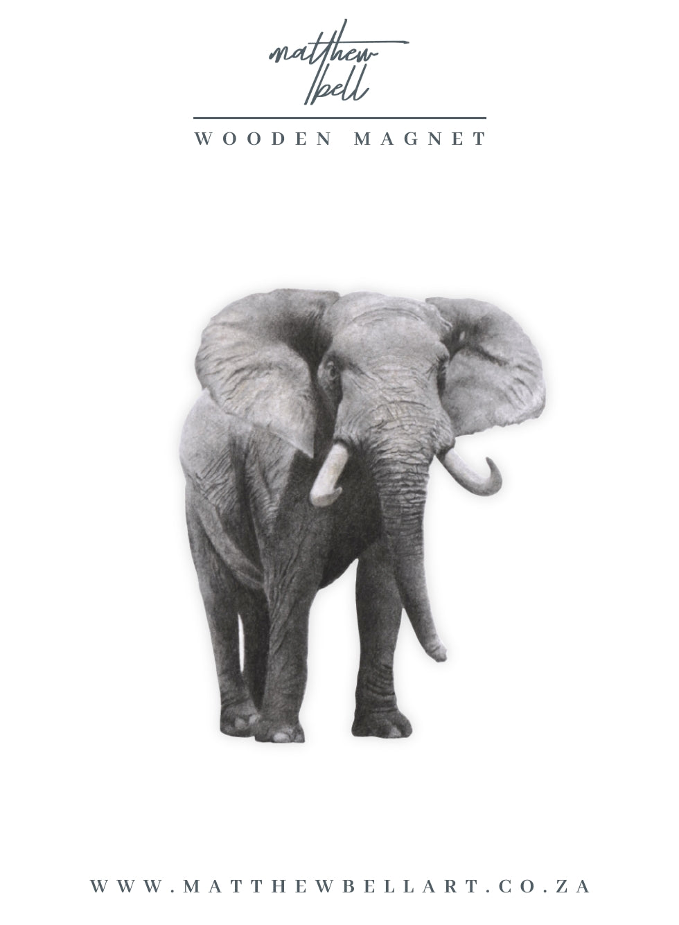 Elephant Magnet - E16
