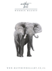Elephant Magnet - E16