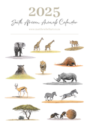 2025 premium quality South African animals hanging wall calendar showing wildlife artwork by artist Matthew Bell including Elephant, Giraffe, Serval, Hippo, Cheetah, Pangolin, Rhino, Springbok, Zebra, Dung Beetles