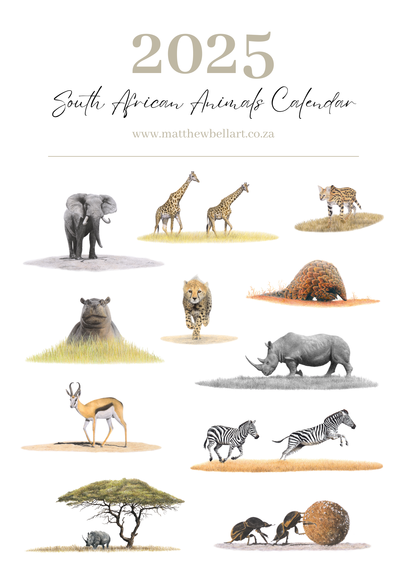 2025 premium quality South African animals hanging wall calendar showing wildlife artwork by artist Matthew Bell including Elephant, Giraffe, Serval, Hippo, Cheetah, Pangolin, Rhino, Springbok, Zebra, Dung Beetles