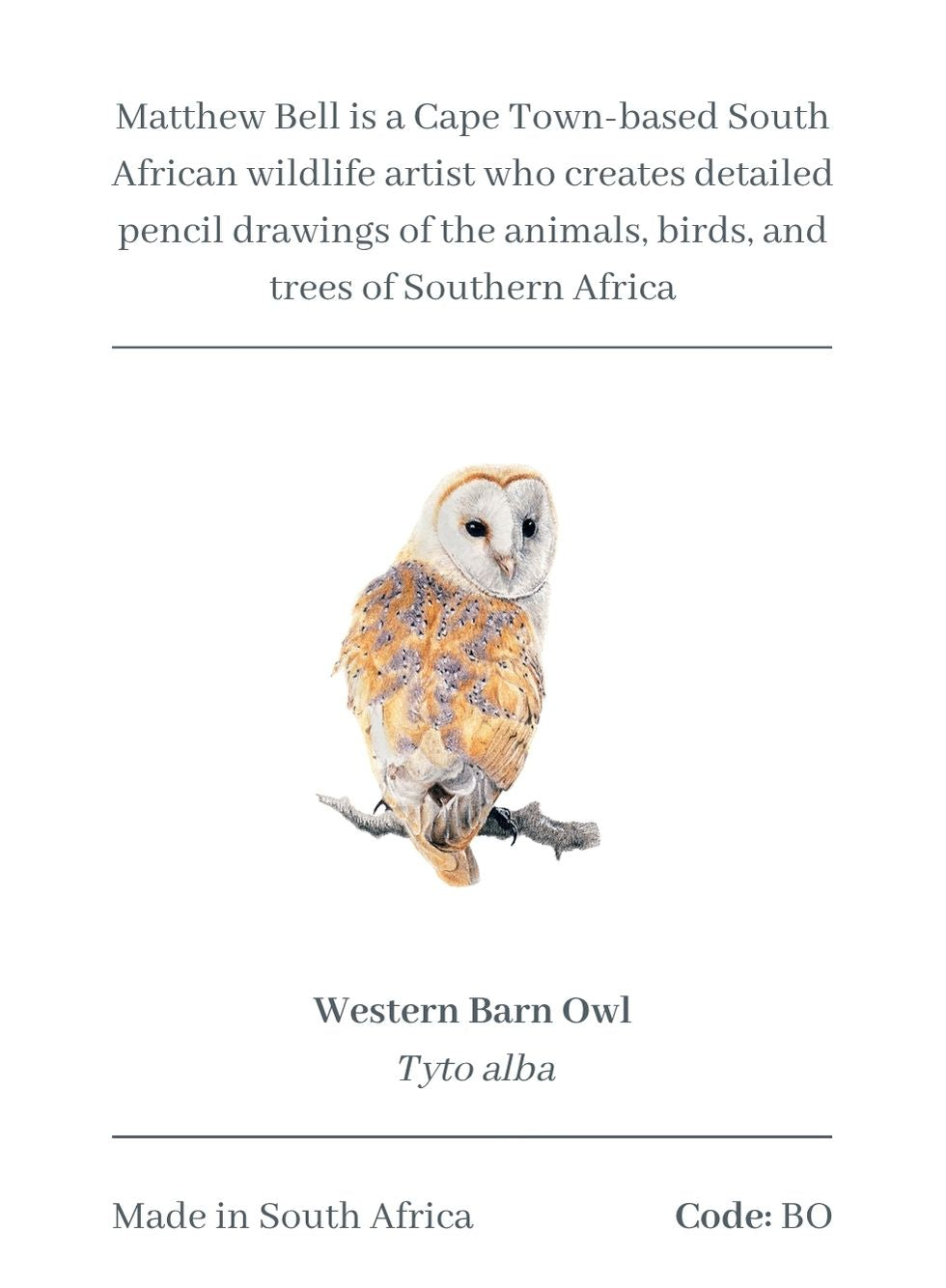 Barn Owl Magnet - BO