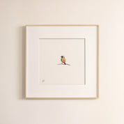 Swee Waxbill - The Original