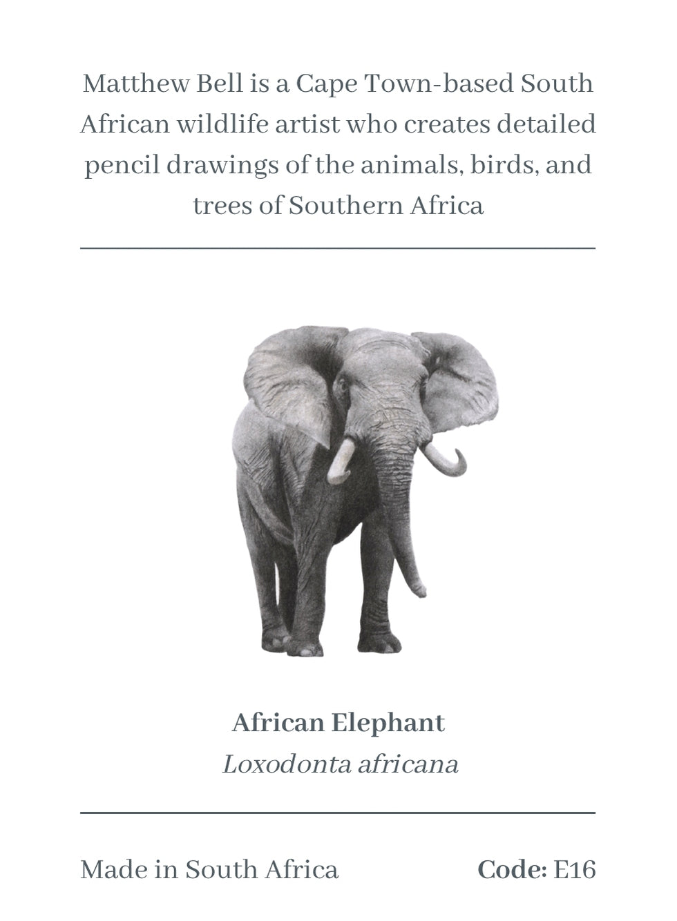 Elephant Magnet - E16