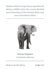 Elephant Magnet - E16