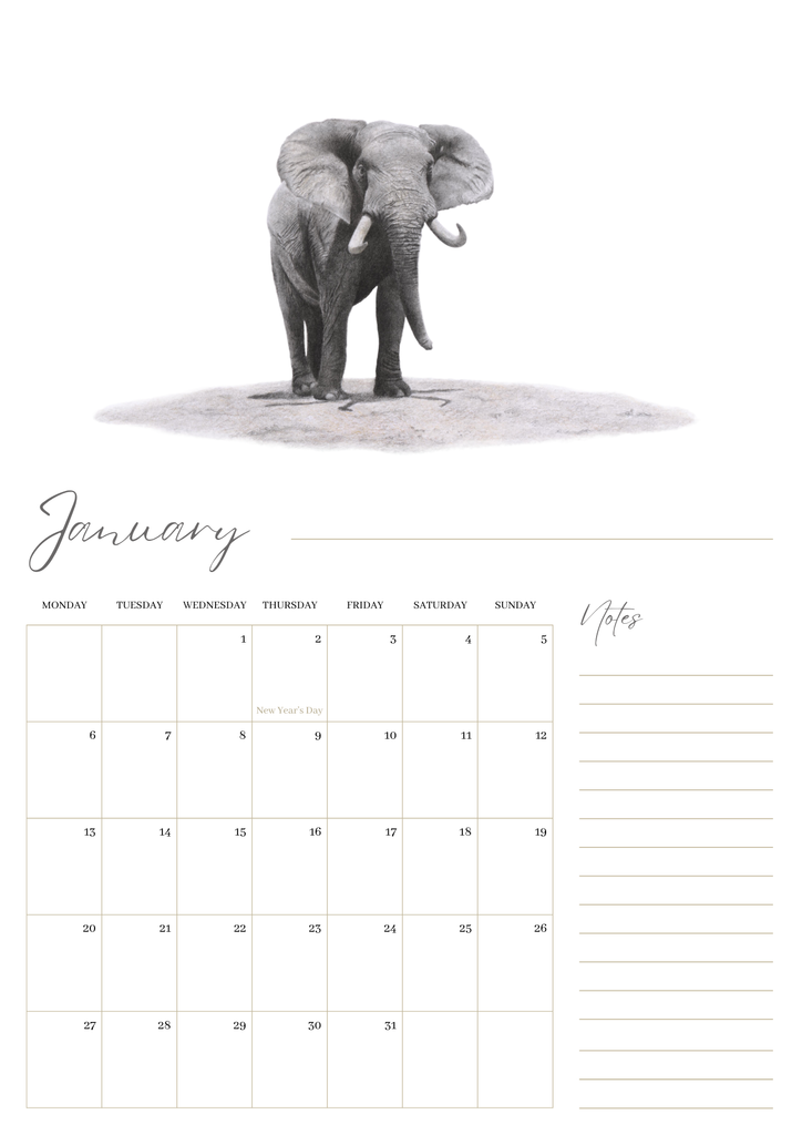 2025 premium quality South African animals hanging wall calendar showing wildlife artwork by artist Matthew Bell including Elephant, Giraffe, Serval, Hippo, Cheetah, Pangolin, Rhino, Springbok, Zebra, Dung Beetles