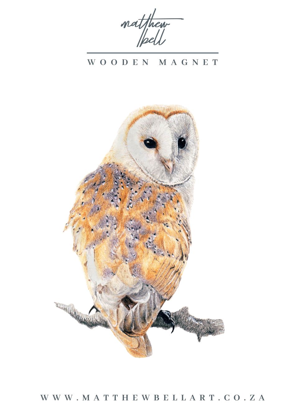 Barn Owl Magnet - BO