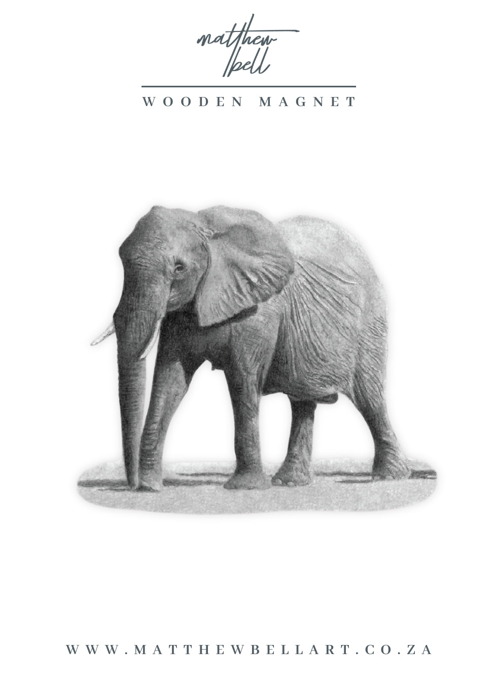 Elephant Magnet - E15