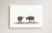 Buffaloes drawing on canvas by South African wildlife artist Matthew 