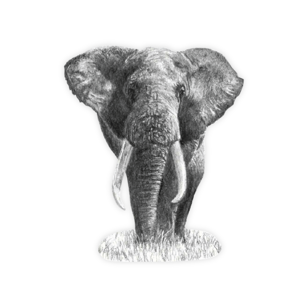 16_066df8a1-85a8-4b01-a577-75787006f064.png