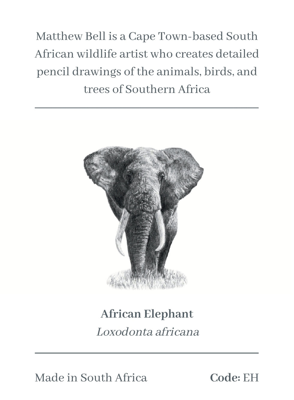 Elephant Magnet - EH