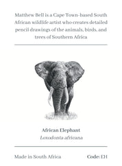 Elephant Magnet - EH