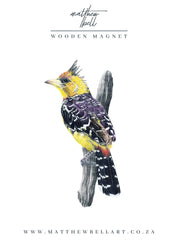 Crested Barbet Magnet - CB