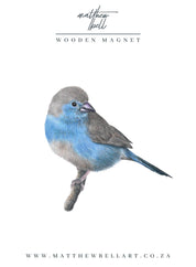 Blue Waxbill Magnet - BWX