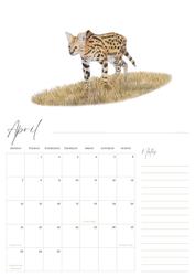 2025 premium quality South African animals hanging wall calendar showing wildlife artwork by artist Matthew Bell including Elephant, Giraffe, Serval, Hippo, Cheetah, Pangolin, Rhino, Springbok, Zebra, Dung Beetles