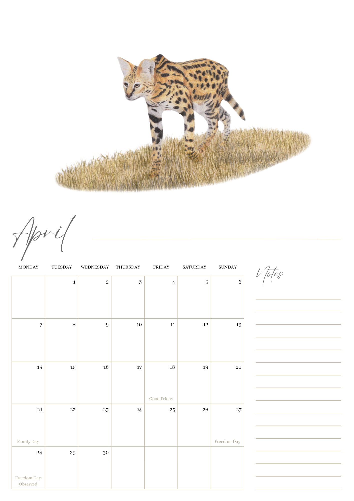 2025 premium quality South African animals hanging wall calendar showing wildlife artwork by artist Matthew Bell including Elephant, Giraffe, Serval, Hippo, Cheetah, Pangolin, Rhino, Springbok, Zebra, Dung Beetles