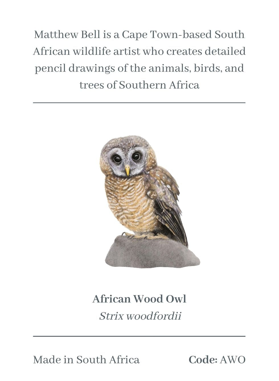African Wood Owl Magnet - AWO