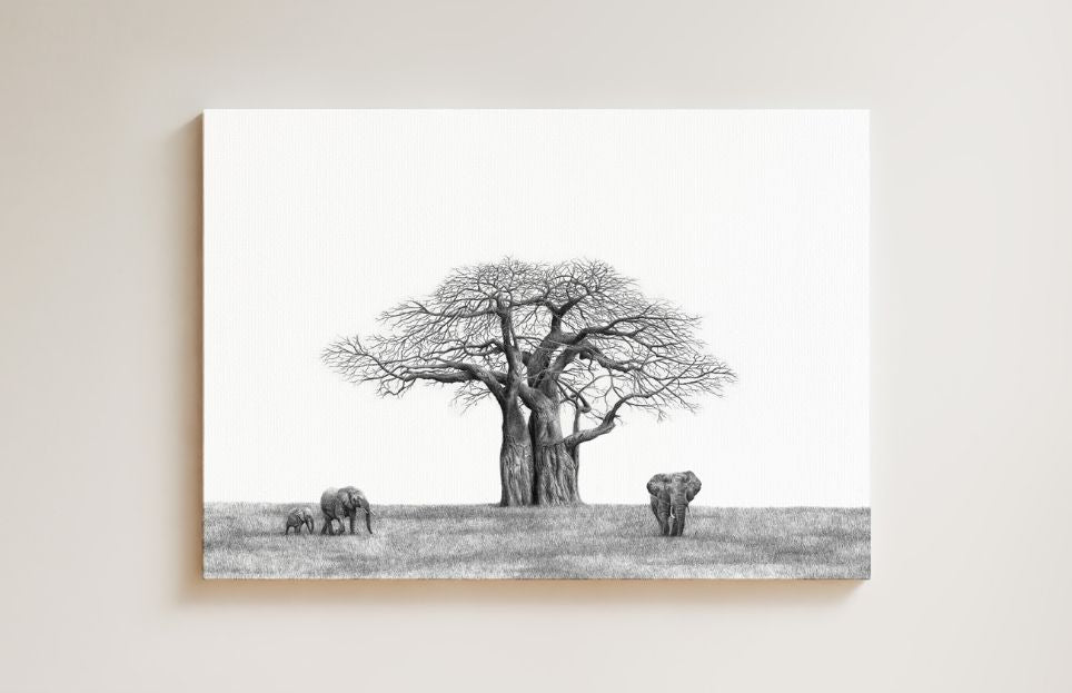 African Baobab Tree and Elephant drawing on canvas by South African wildlife artist Matthew Bell