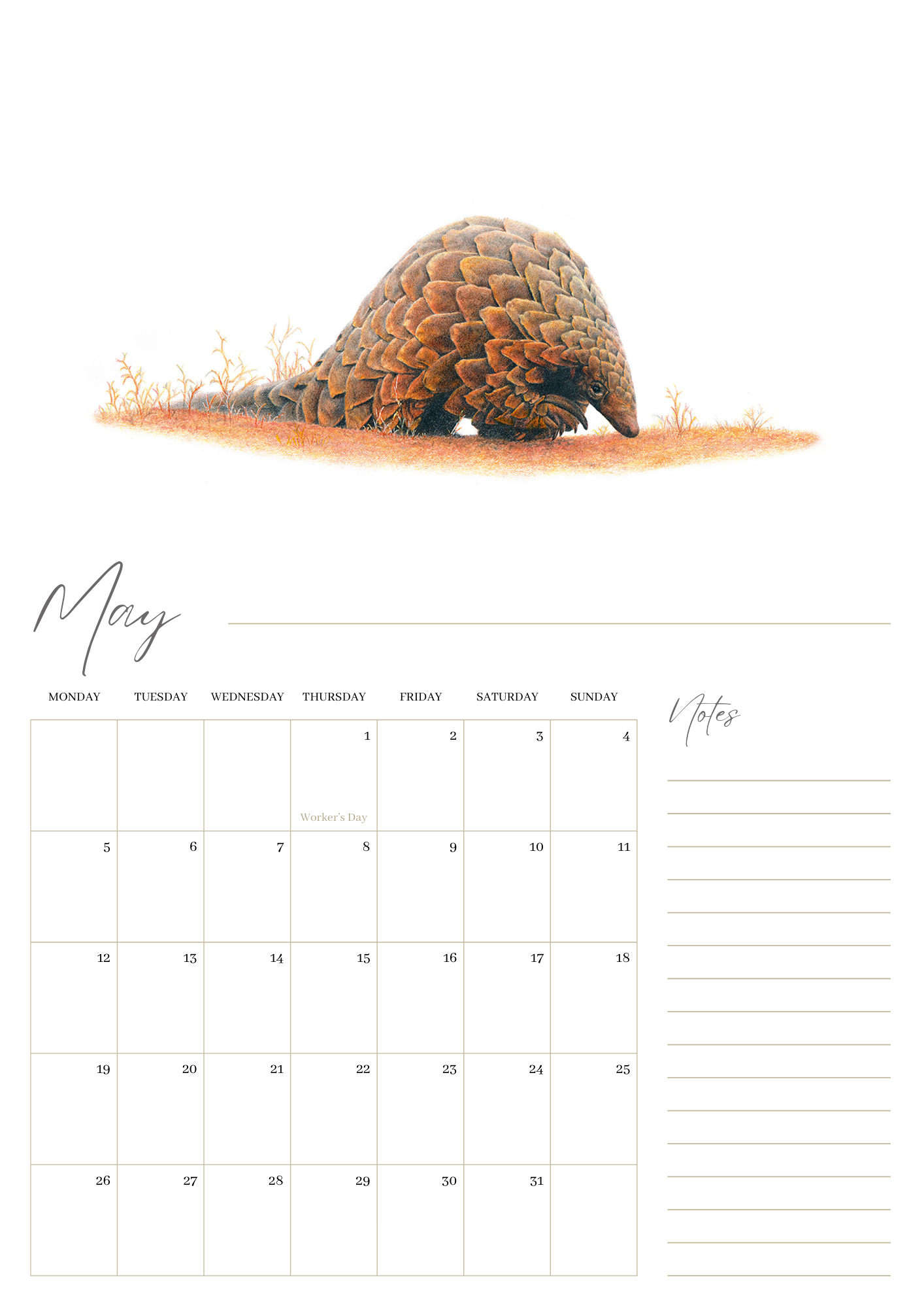 2025 premium quality South African animals hanging wall calendar showing wildlife artwork by artist Matthew Bell including Elephant, Giraffe, Serval, Hippo, Cheetah, Pangolin, Rhino, Springbok, Zebra, Dung Beetles