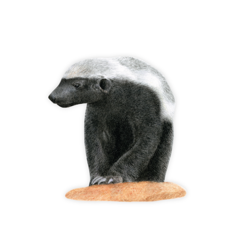 19_e3fd033a-1527-4d41-96cb-fa68fabb8116.png