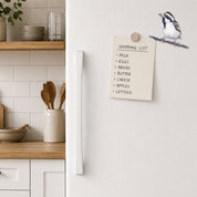Acacia Pied Barbet fridge magnet displaying Matthew Bell's original bird art
