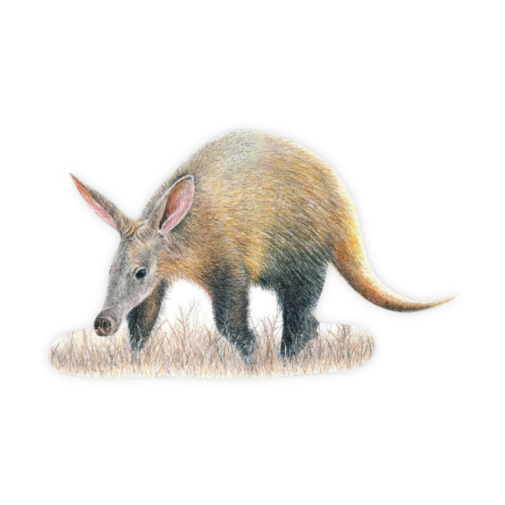 1_211d5247-76f7-41d2-b220-01924ec6ccbc.png