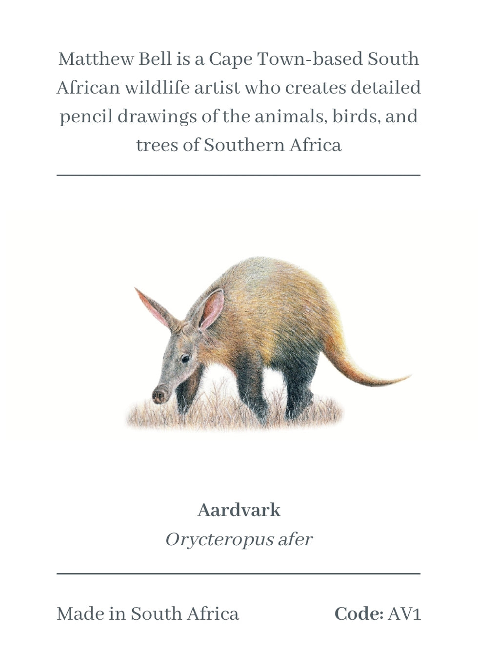 Aardvark Magnet - AV1