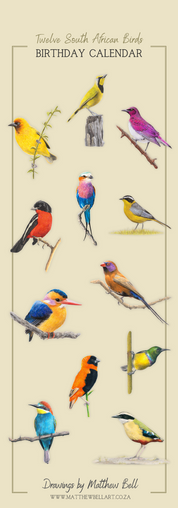 South African Birds art perpetual reusable birthday calendar by wildlife artist Matthew Bell