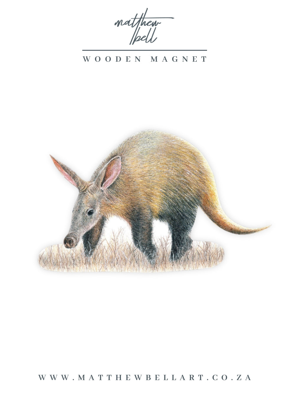 Aardvark Magnet - AV1