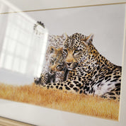 Framed artwork African wildlife pencil drawing of a leopard mother with her cub in the Kruger National Park by Matthew Bell artist