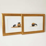 Dung beetle prints of the original pencil drawings by nature artist Matthew Bell, mounted and with a beautiful gold frame, ready to hang on the wall