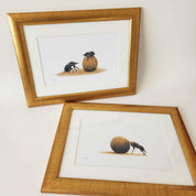 Dung beetle prints of the original pencil drawings by nature artist Matthew Bell, mounted and with a beautiful gold frame, ready to hang on the wall