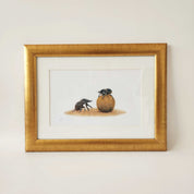 Dung beetle prints of the original pencil drawings by nature artist Matthew Bell, mounted and with a beautiful gold frame, ready to hang on the wall