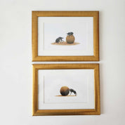 Dung beetle prints of the original pencil drawings by nature artist Matthew Bell, mounted and with a beautiful gold frame, ready to hang on the wall