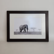 Bull African elephant in the Serengeti artwork with a brown frame