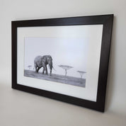 Bull African elephant in the Serengeti artwork with a brown frame