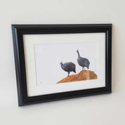 A pair of guinea fowl pencil artwork framed, by South African wildlife nature artist Matthew Bell