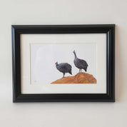 A pair of guinea fowl pencil artwork framed, by South African wildlife nature artist Matthew Bell